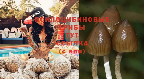 mdpv Вязники