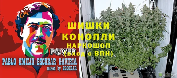 трава Вяземский