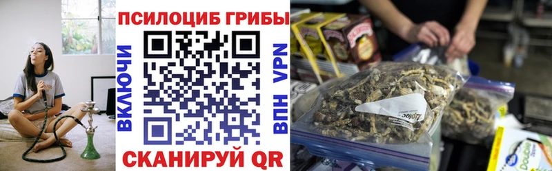 Купить закладки  Мурино  Псилоцибиновые грибы прущие грибы 